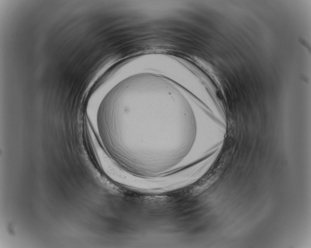 X0000096460859200802211124