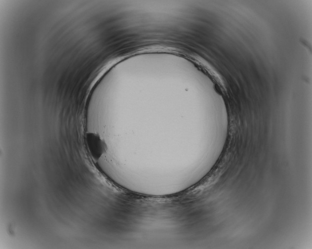 X0000096460860200802211124