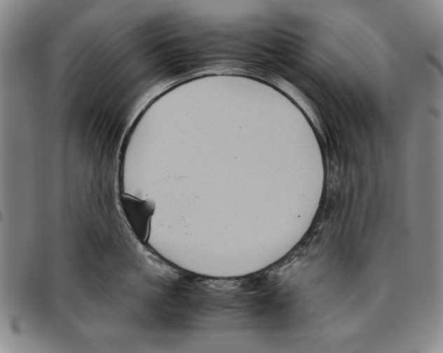 X0000096460861200802211124