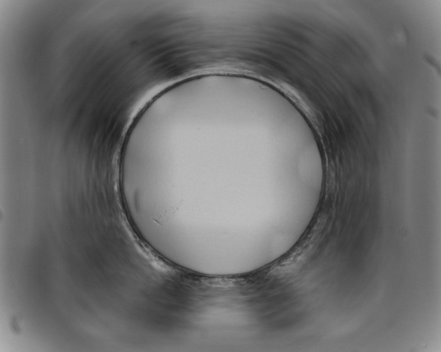X0000096460862200802211124
