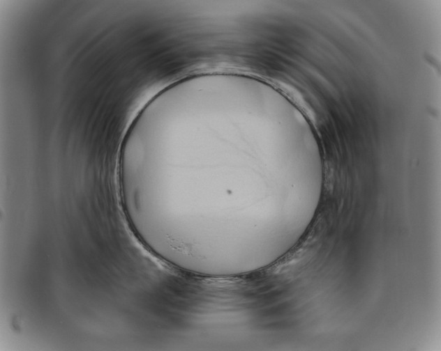 X0000096460863200802211124