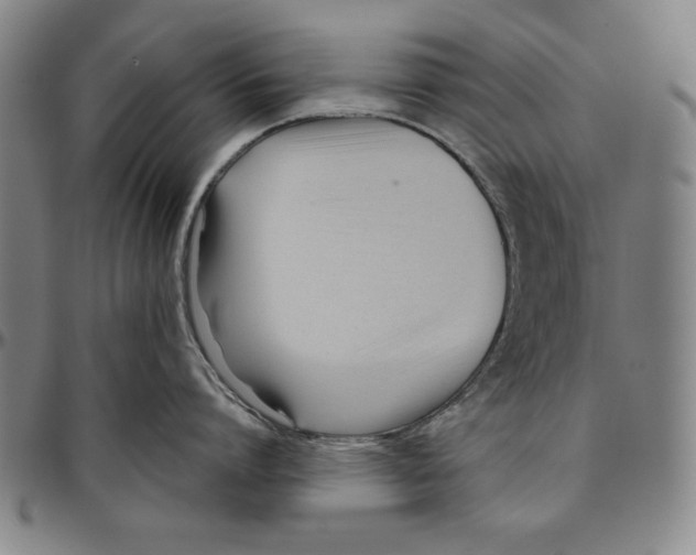 X0000096460864200802211124
