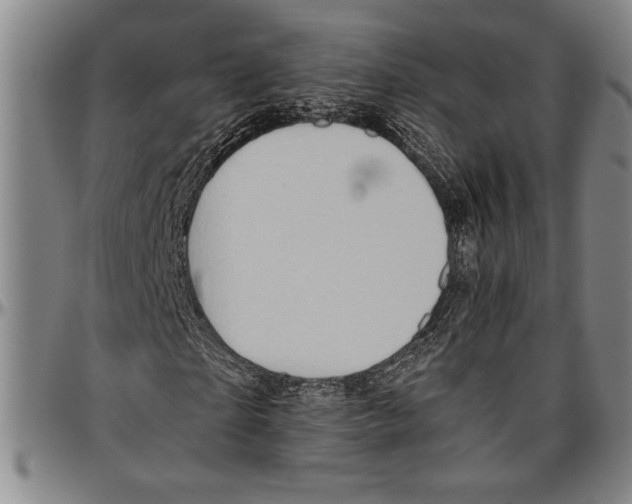 X0000096460865200802211123