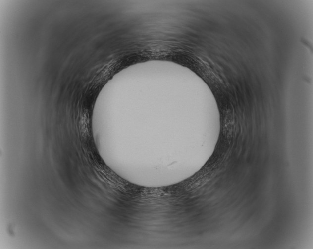 X0000096460866200802211123