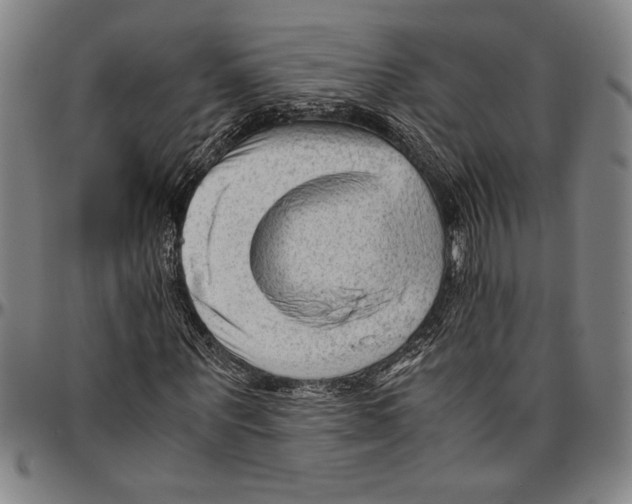 X0000096460867200802211123