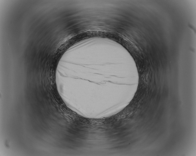 X0000096460870200802211123