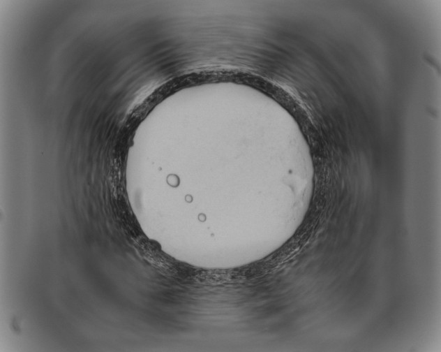 X0000096460871200802211123