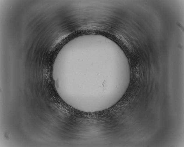 X0000096460872200802211123
