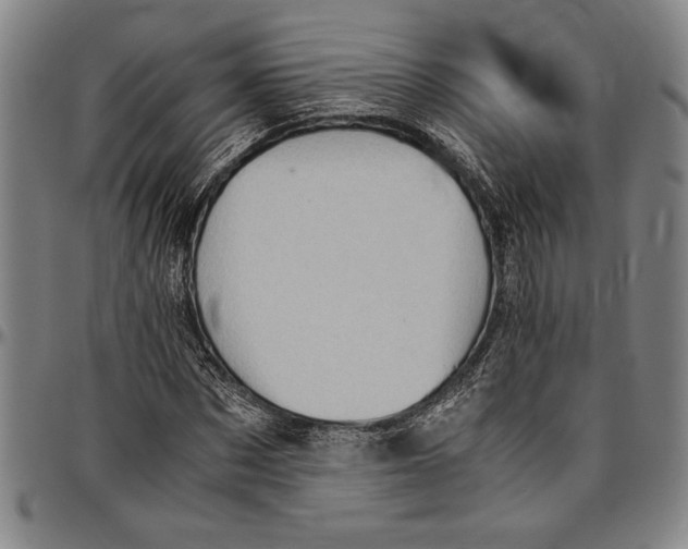 X0000096460873200802211123