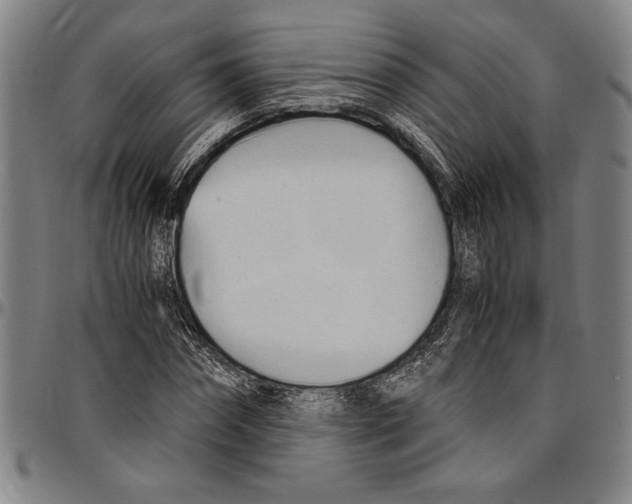 X0000096460874200802211123