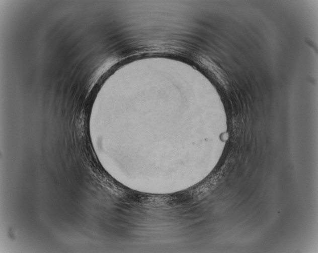 X0000096460875200802211123