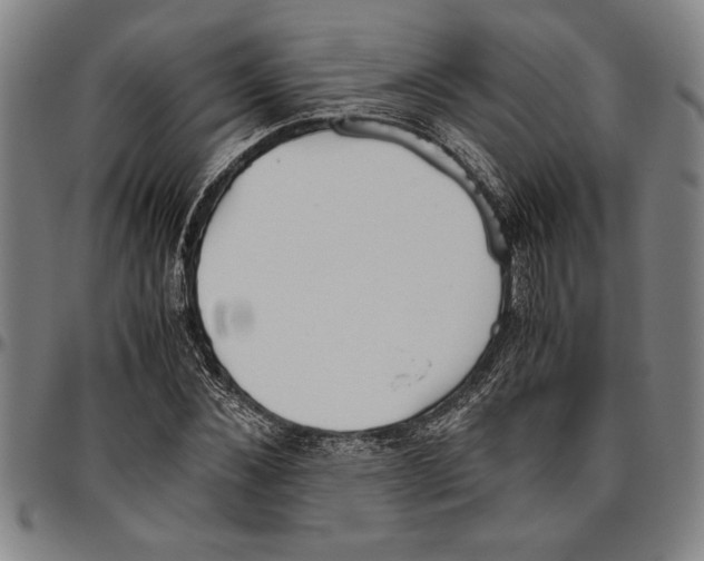 X0000096460876200802211123