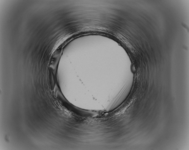 X0000096460877200802211123