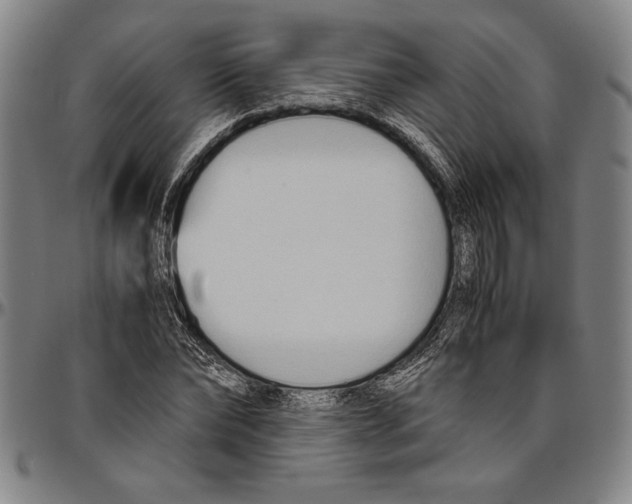 X0000096460878200802211123