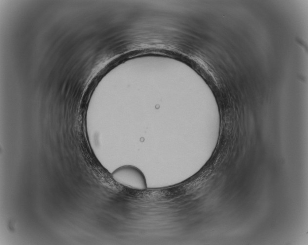 X0000096460879200802211123