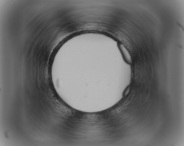 X0000096460880200802211123
