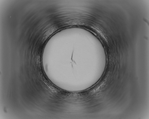 X0000096460881200802211123