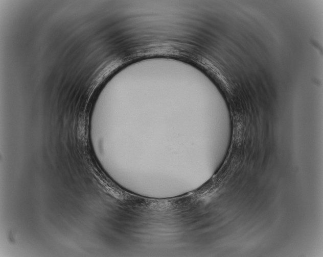 X0000096460882200802211123