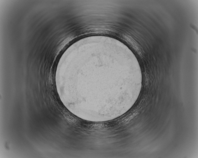 X0000096460883200802211123