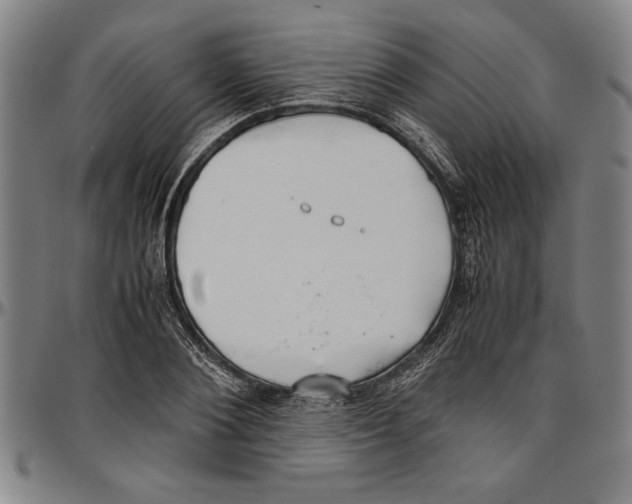 X0000096460884200802211123