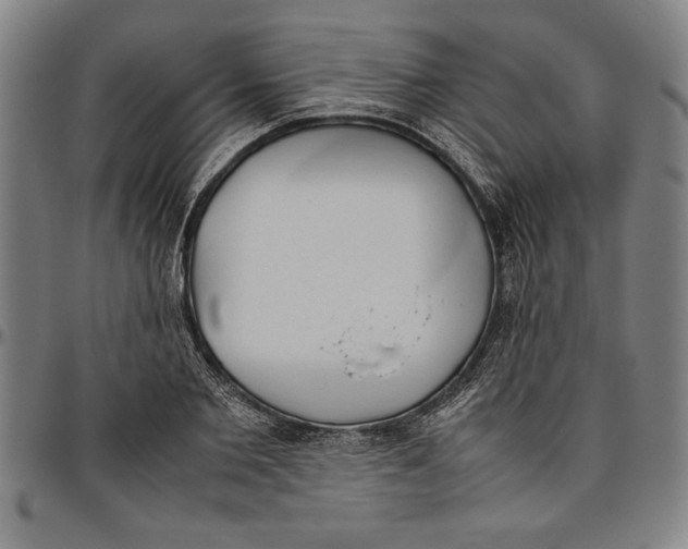 X0000096460885200802211123