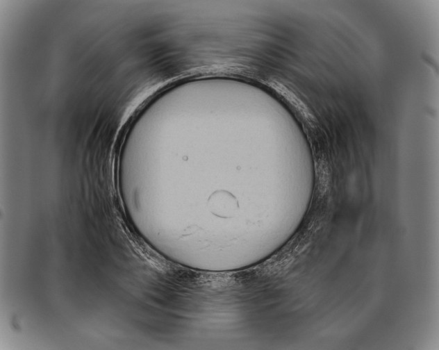 X0000096460886200802211123