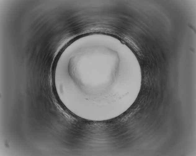 X0000096460888200802211123