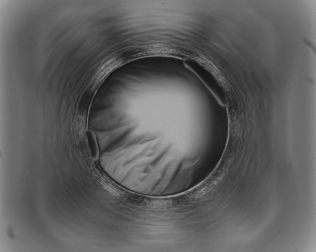 X0000096460889200802211123