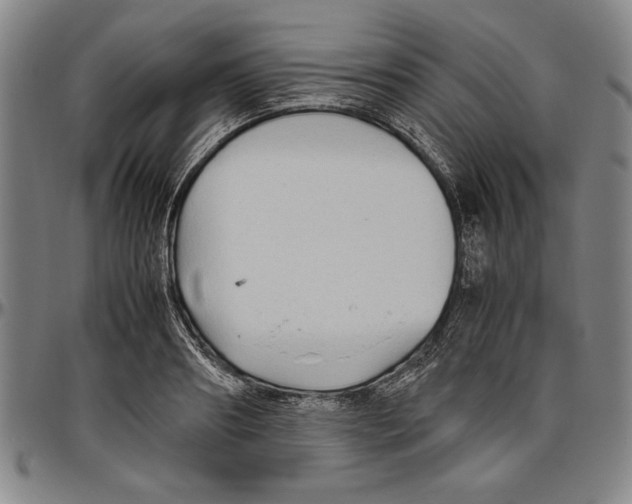 X0000096460890200802211123