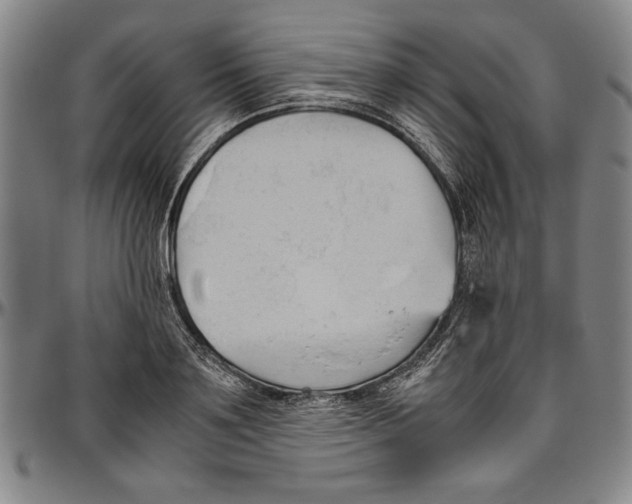 X0000096460891200802211123
