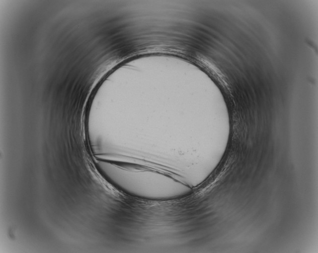 X0000096460892200802211123