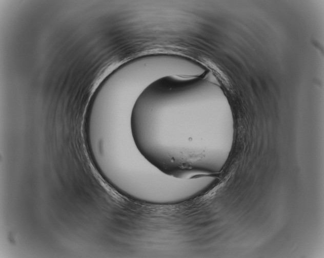 X0000096460893200802211123