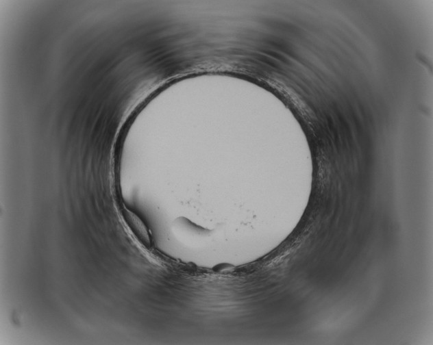 X0000096460894200802211123