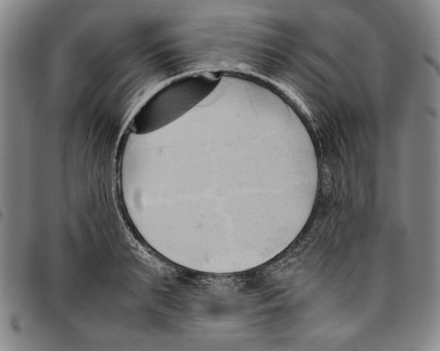 X0000096460895200802211123