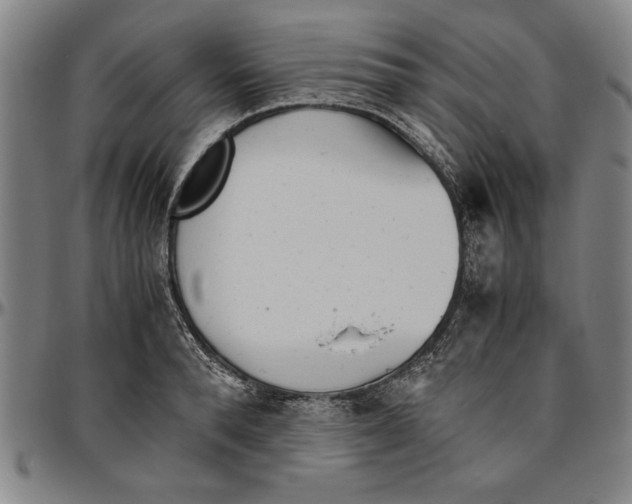 X0000096460896200802211123