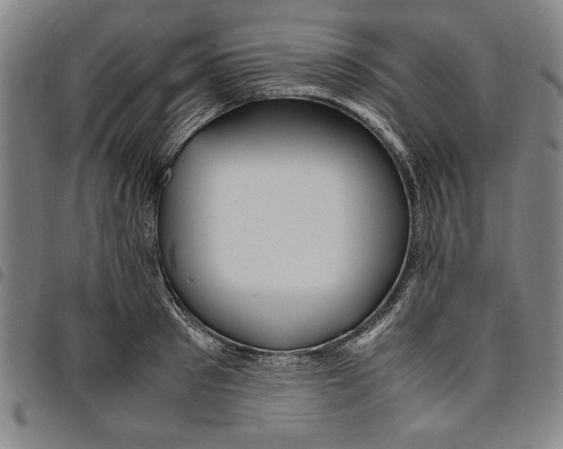 X0000096460897200802211123