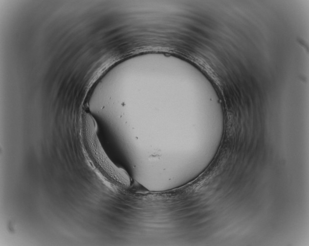 X0000096460898200802211123