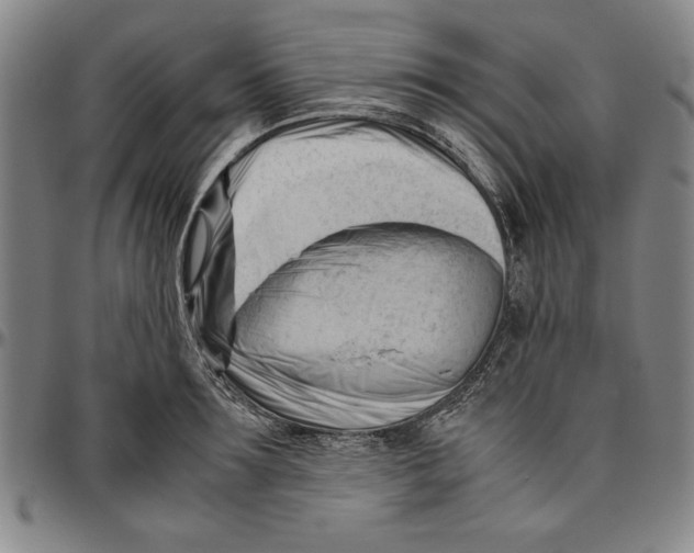 X0000096460899200802211123