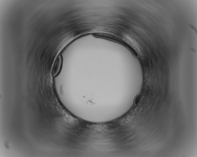 X0000096460900200802211123