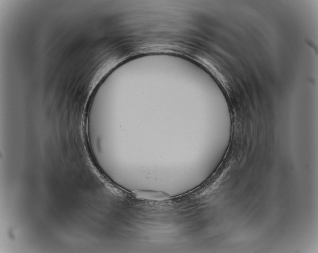 X0000096460901200802211123
