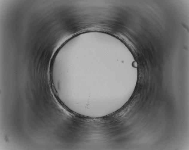 X0000096460902200802211123