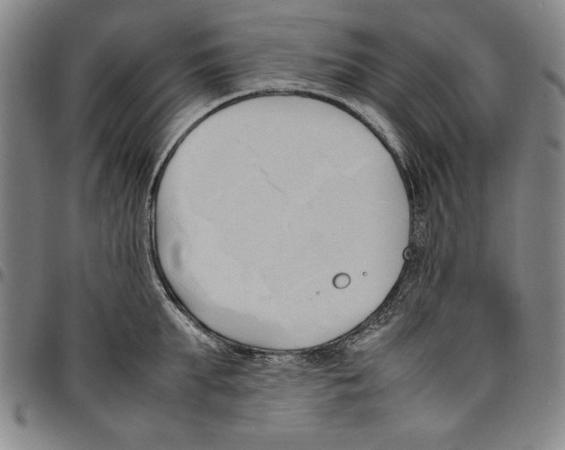 X0000096460903200802211123