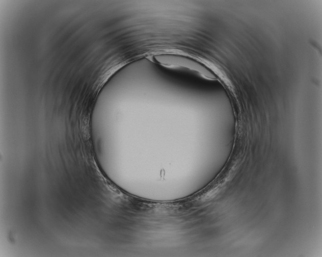 X0000096460905200802211122