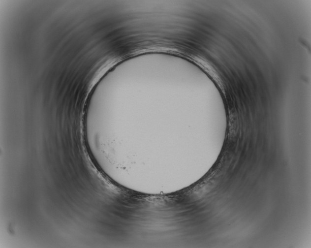X0000096460906200802211122