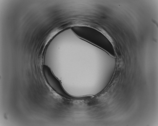 X0000096460909200802211122