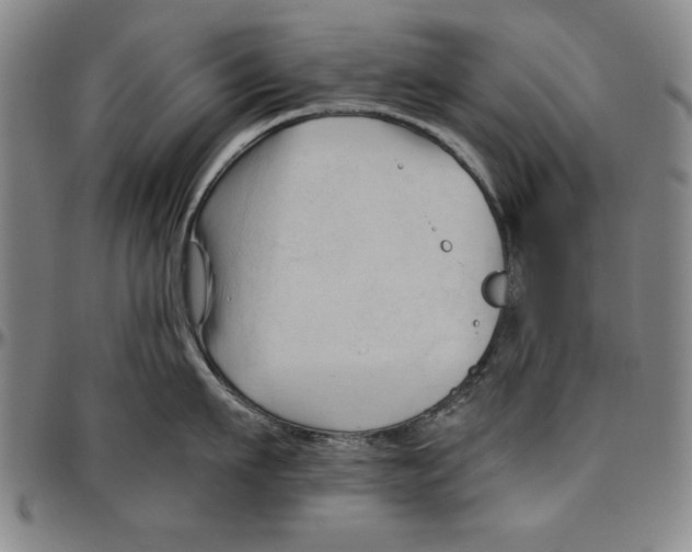 X0000096460911200802211122
