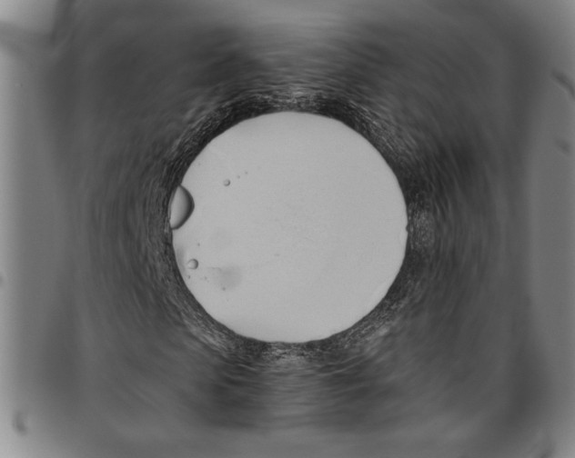 X0000096460913200802211122