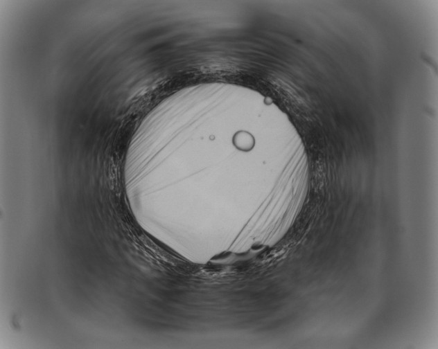 X0000096460917200802211122