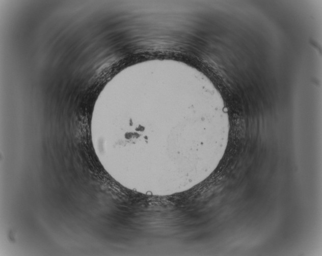 X0000096460918200802211122