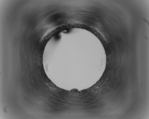 X0000096460919200802211122